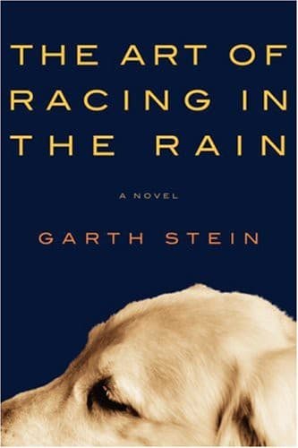 Summary of "The Art of Racing in the Rain"