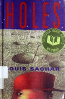 Summary of "Holes"