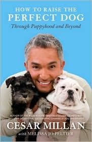 Summary of "How to Raise the Perfect Dog: Through Puppyhood and Beyond"