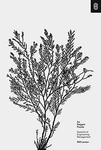 Summary of "An Elegant Puzzle"