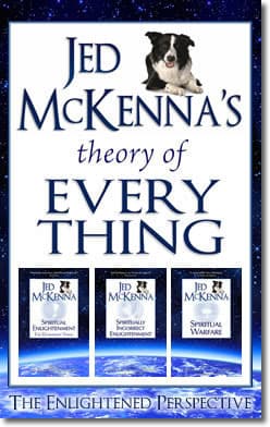 Jed McKenna's Theory of Everything cover