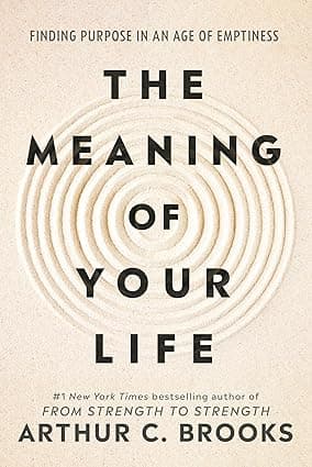 The Meaning of Your Life: Finding Purpose in an Age of Emptiness cover