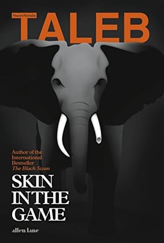 Skin in the Game: The Hidden Asymmetries in Daily Life cover