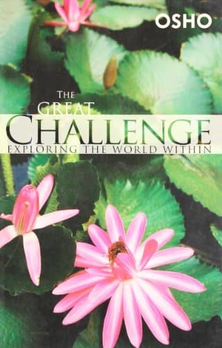 Great Challenge cover
