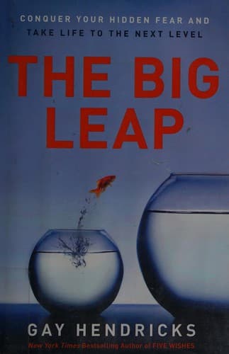 The Big Leap: Conquer Your Hidden Fear and Take Life to the Next Level cover