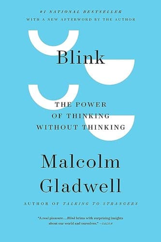 Summary of "Blink"