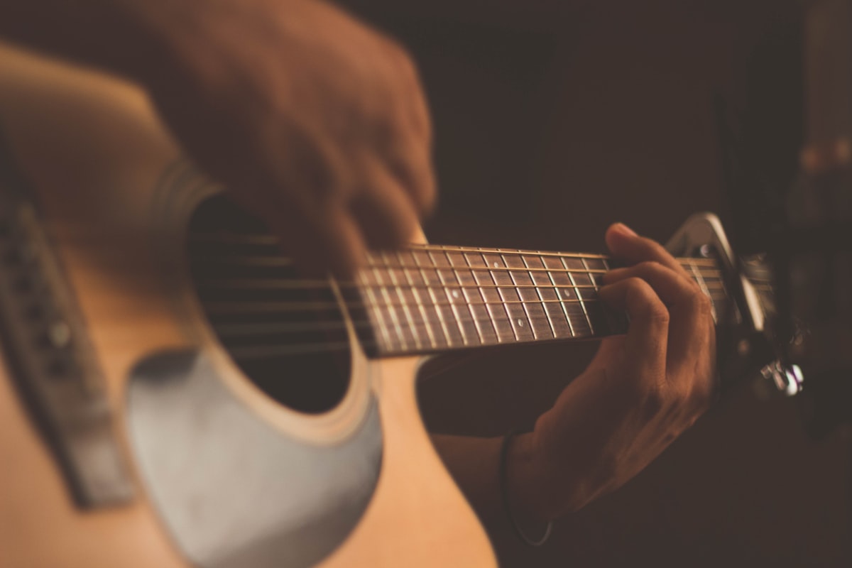 Close-up of guitar strings over frets, showing the physical geometry that determines pitch